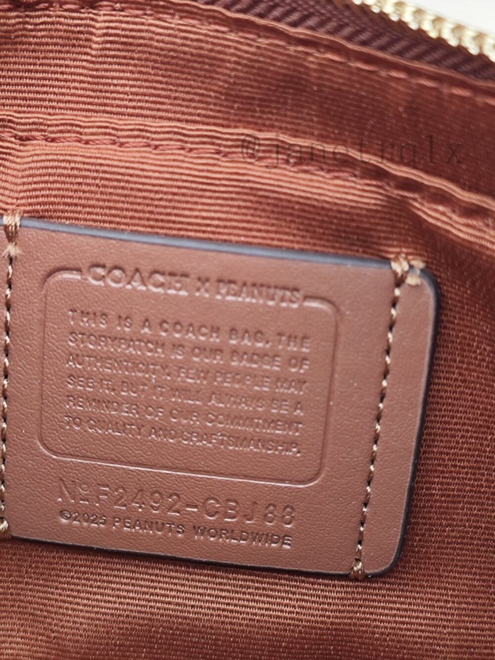 🎶🎶Coach X Peanuts Teri Shoulder Bag In Signature Canvas With Snoopy Print - Picture 6 of 8